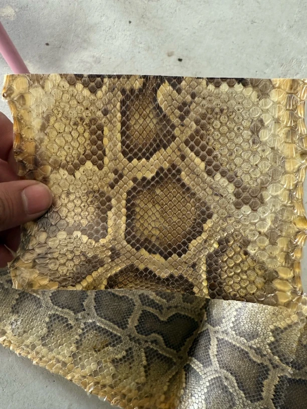 越胡用小蟒皮单块厚度0.2到0.6mm长度11宽度15到18cm