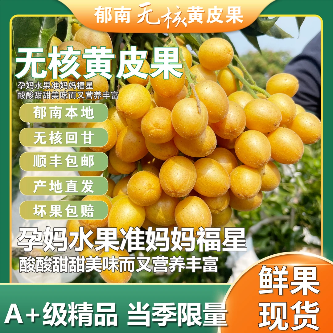 【顺丰冷链】正宗郁南无核黄皮果广东新鲜黄皮果当季多汁水果