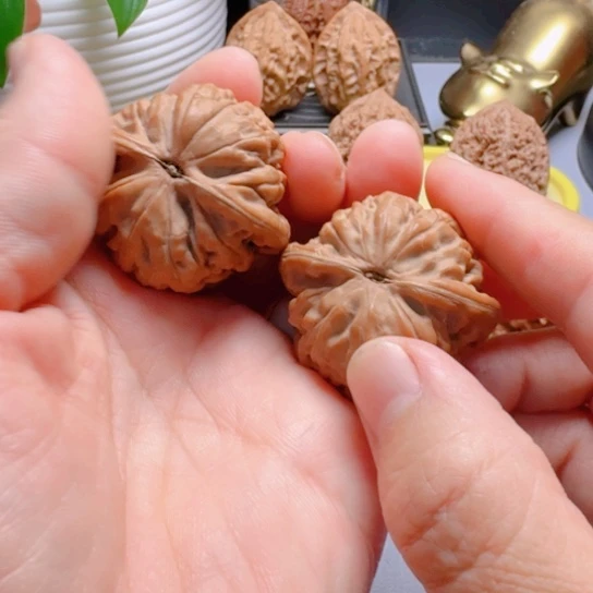 精品凤凰台全品无修文玩