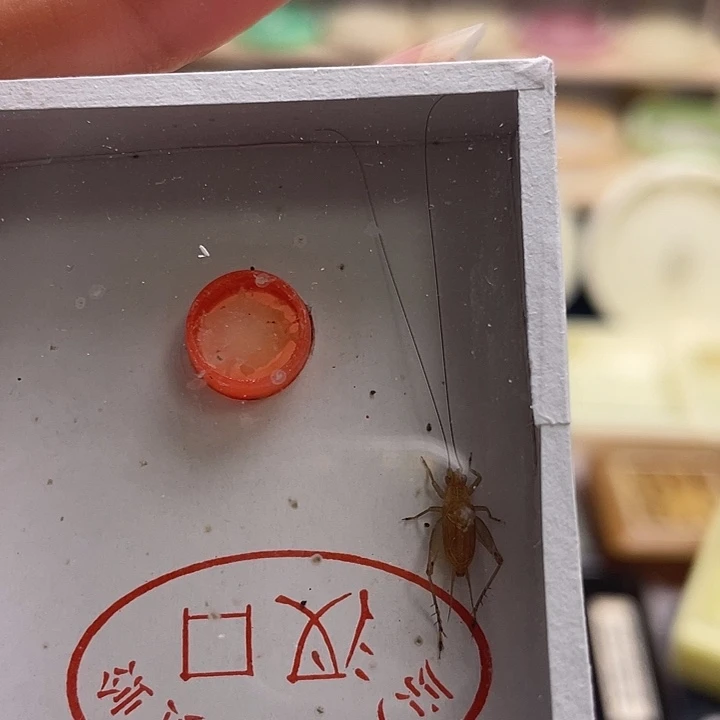 ヤ***座大黄随单1啊啊啊啊啊啊