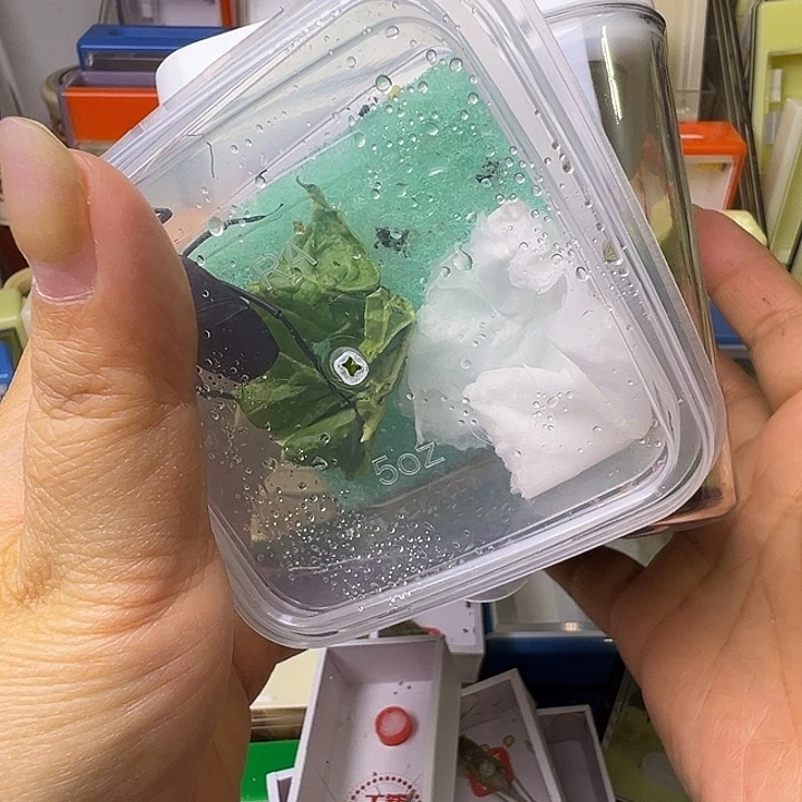 F***2哈哈哈哈哈哈哈哈哈哈