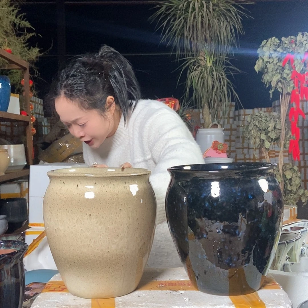 红陶花盆里19/21