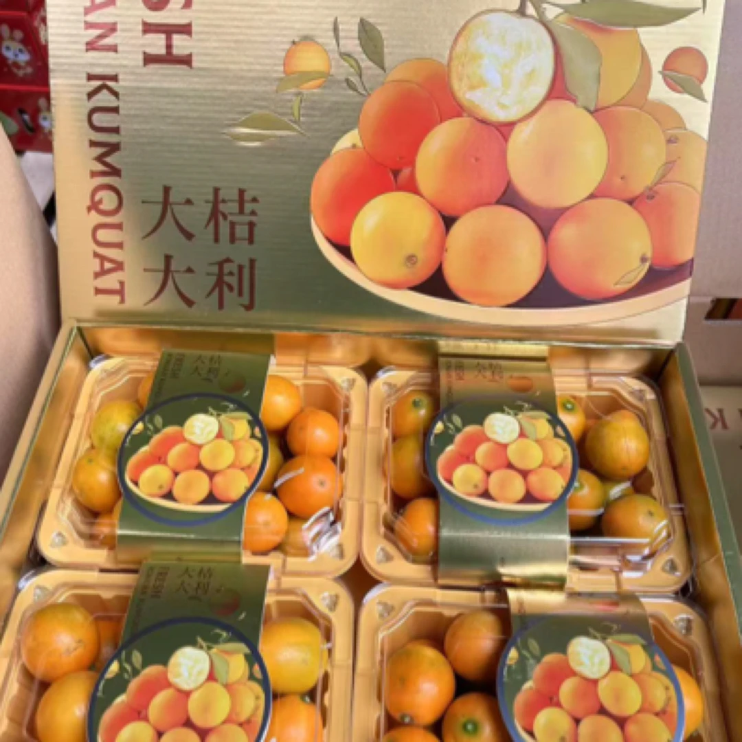 脆蜜金桔 皮薄 光滑 脆甜 28的糖度 535克 广东省金橘广东省东莞市