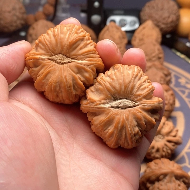 ༺***༻把件桃核文玩核桃白狮子41