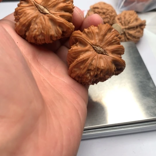 不**年你是我的小太阳啊我的
