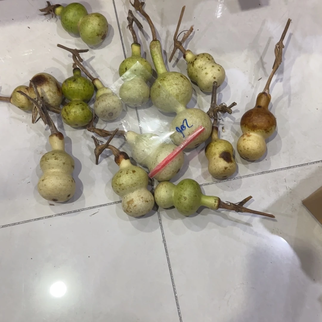 不***喻葫芦了饿了咯来乐乐乐乐乐乐咯哦