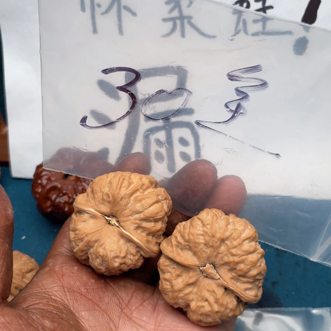 我***在537573357375537537357