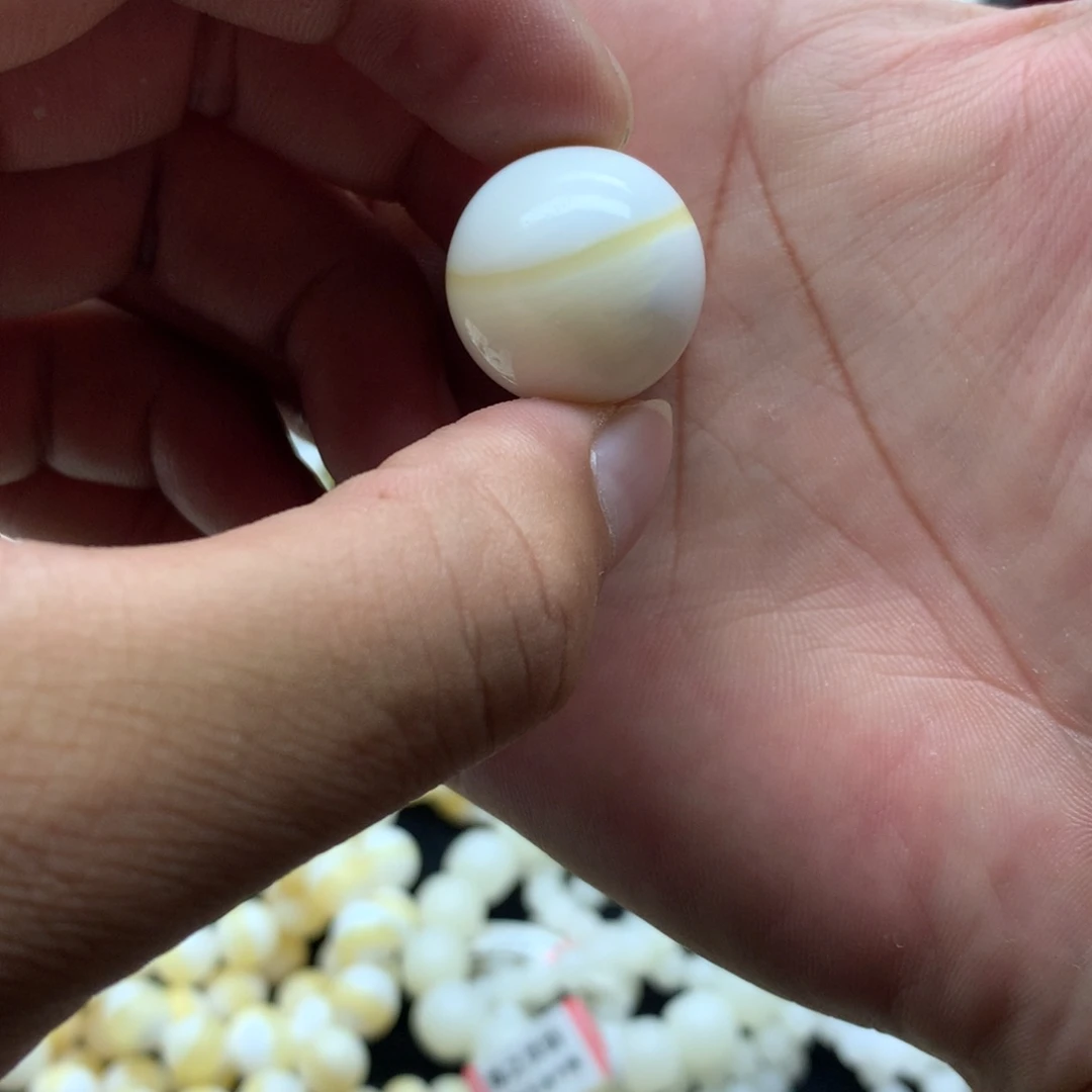 非金属贝壳20金丝单株