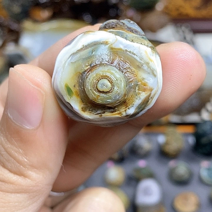 石头天然原石小品石