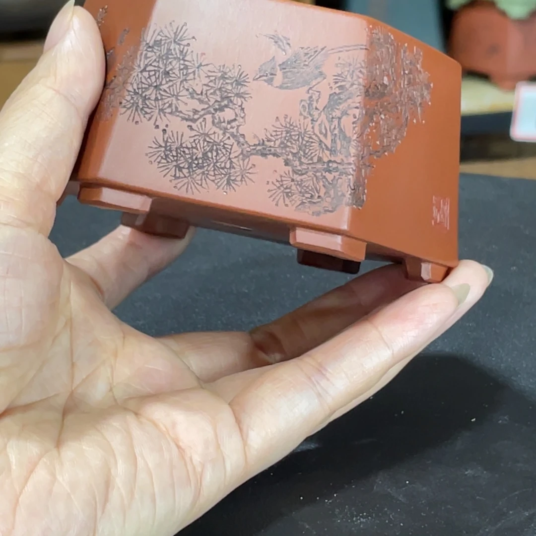 紫砂花盆你要么去
