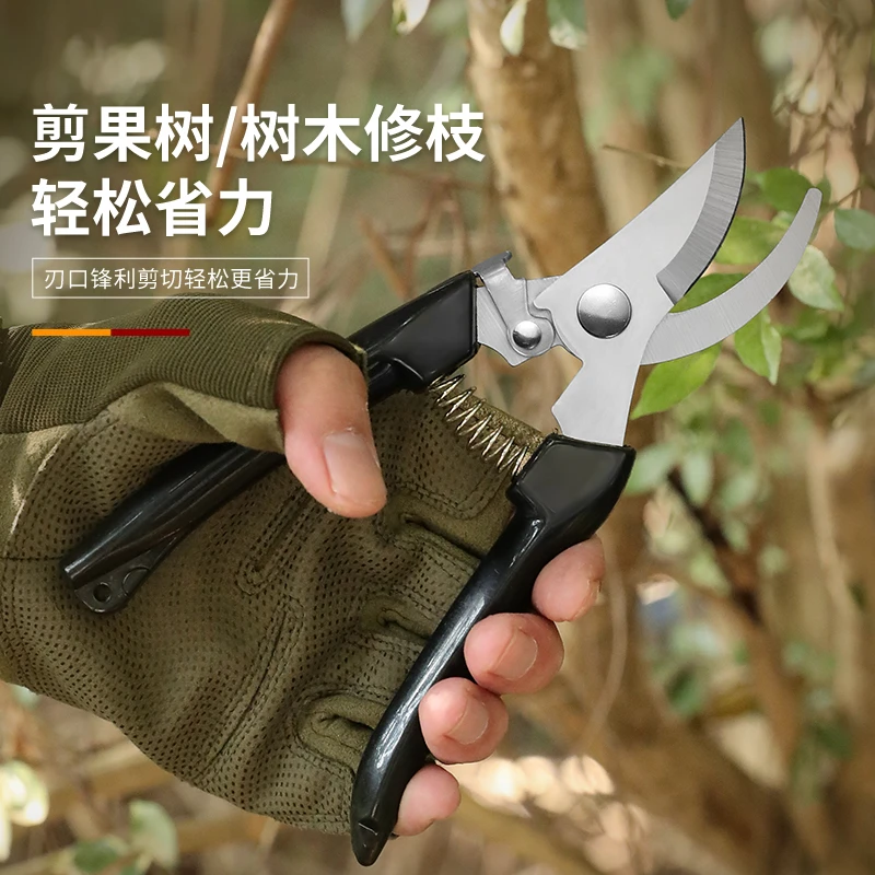 剪枝果树修枝剪刀园艺园林修花枝剪家用强力剪子神器花剪剪枝剪刀