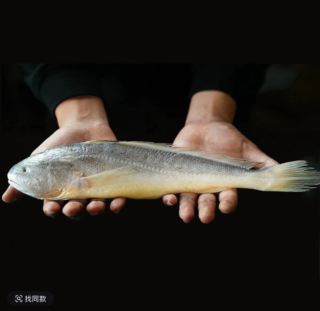 5条（鲜冻）野生黄鱼7两左右每条  连云港发货
