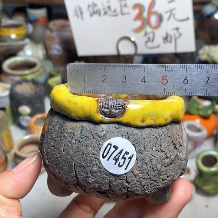 拍3送一个小礼物花盆