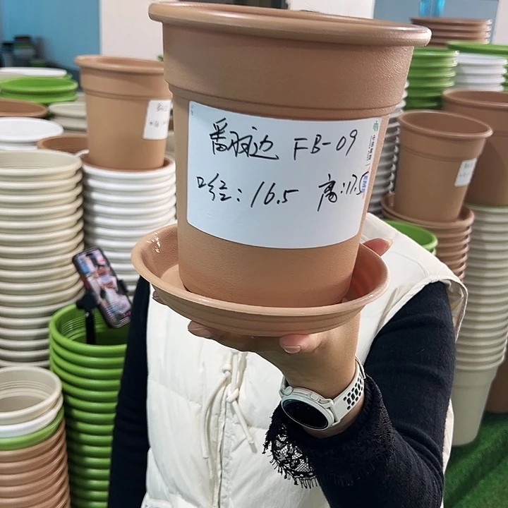 正品翻边口16.5高17卡其色带托8只