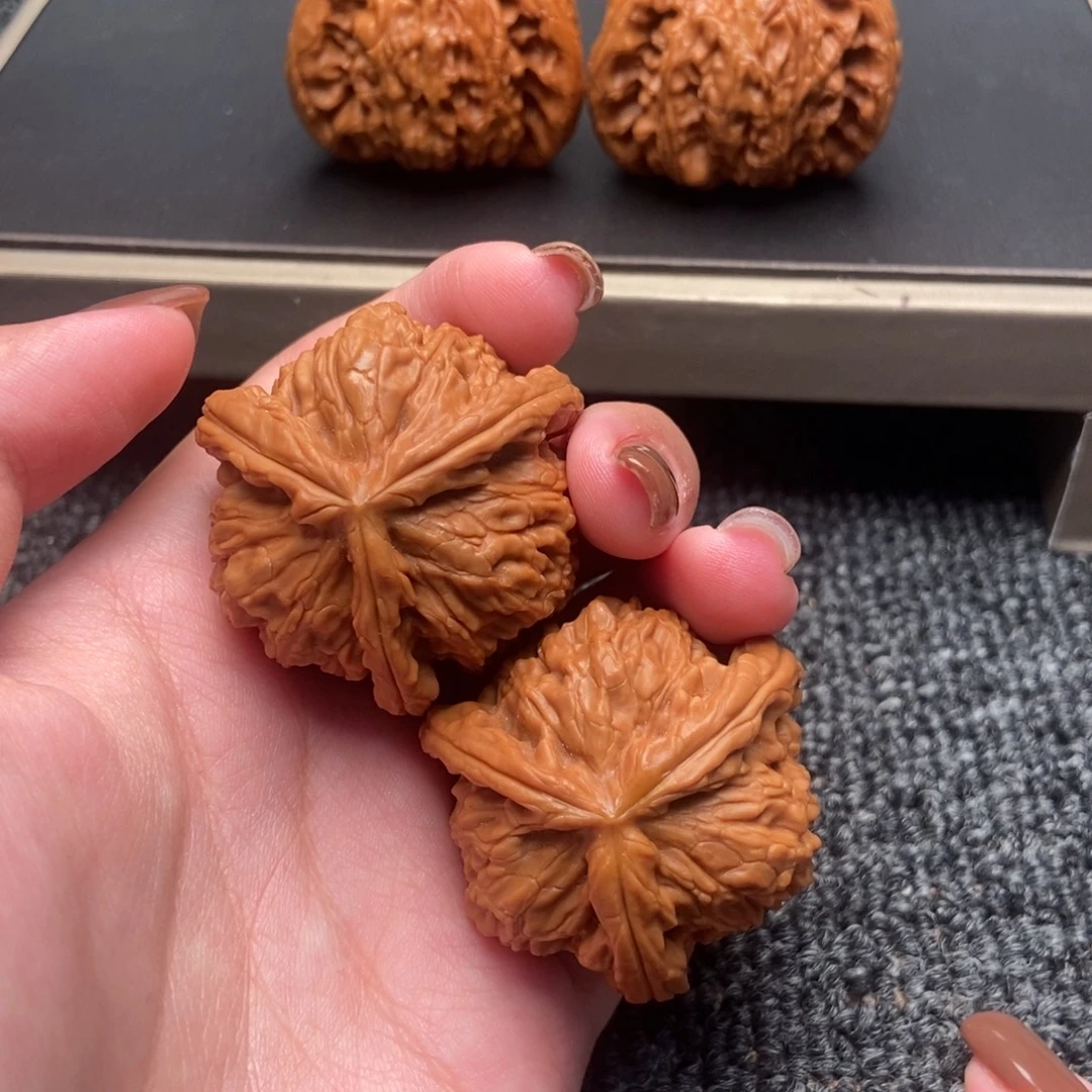 木质类白狮子正奔