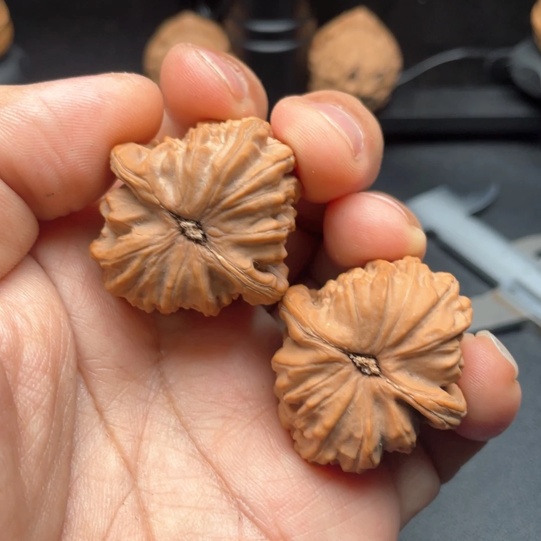文玩核桃把件白狮子