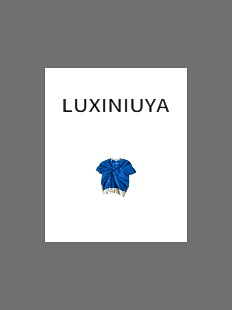 【LUXINIUYA】升级版可机洗100超细羊毛假两件圆领针织上衣CX2806