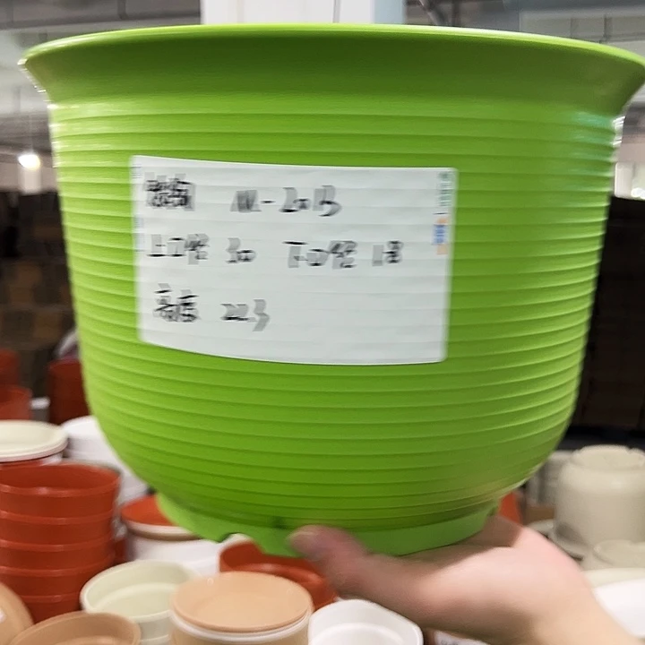 正品矮陶口30高22果绿无托5只