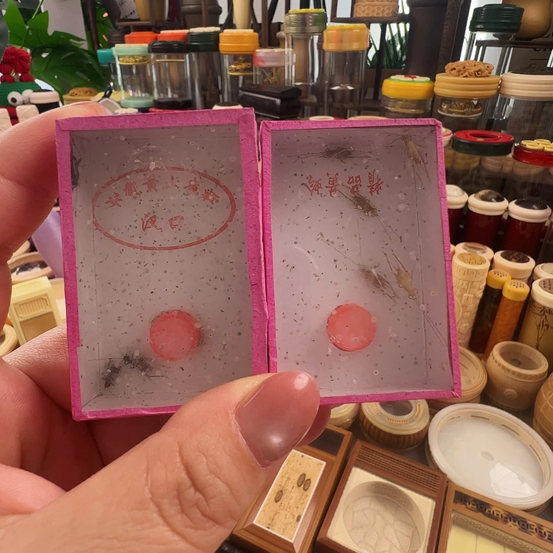 哈哈哈红胸蛉和小黄蛉