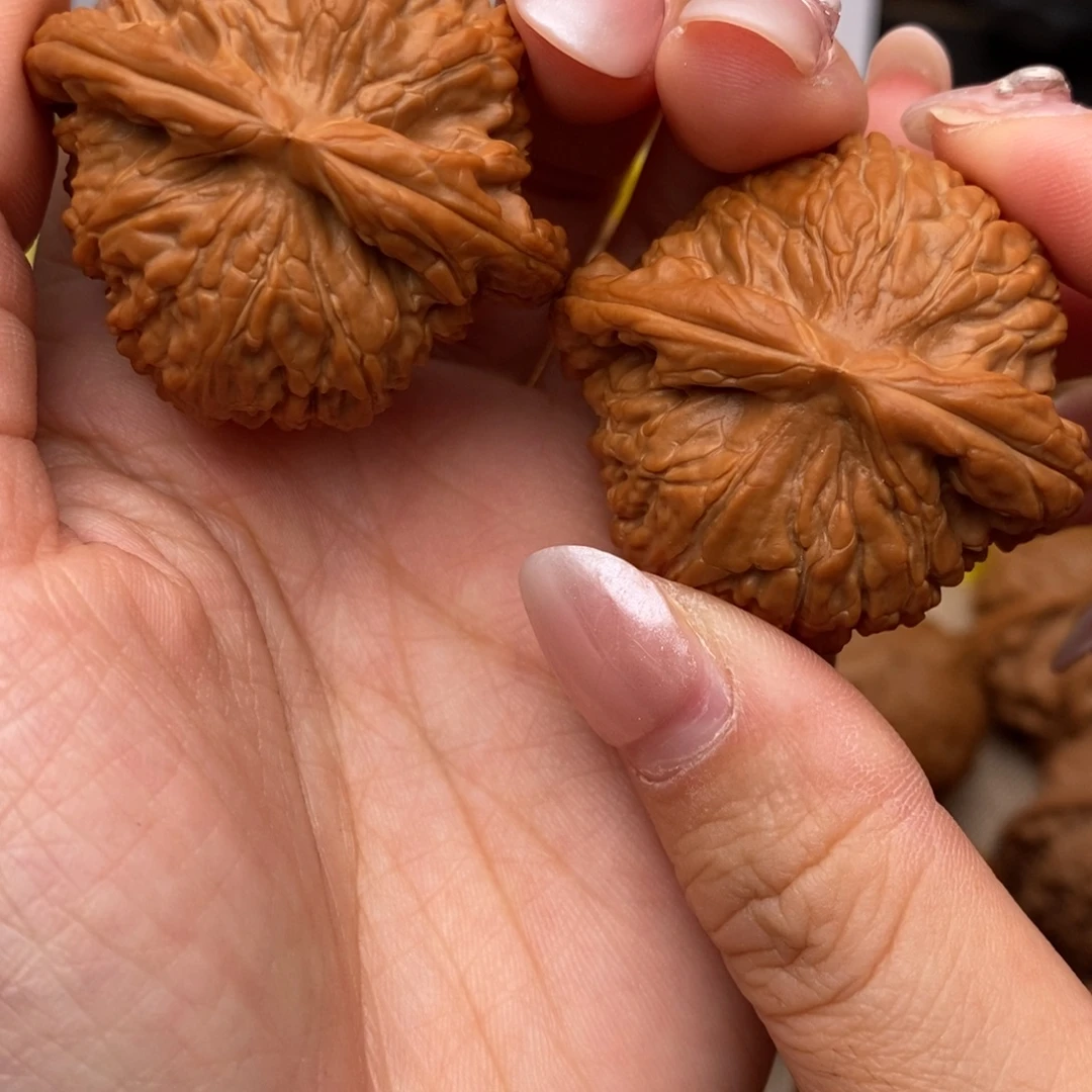 文玩核桃42白狮子……