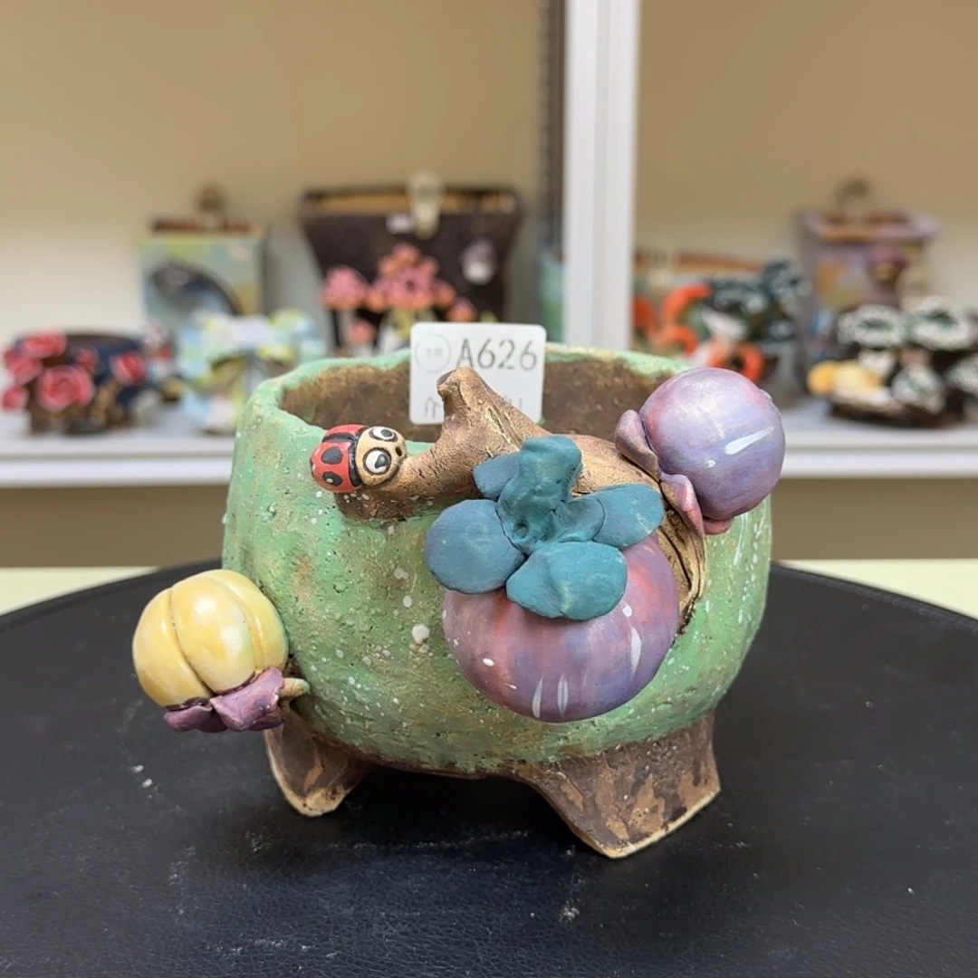 A626 【闪购】多肉花盆