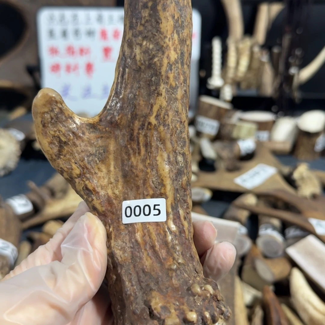 把件橄榄核鹿角0005