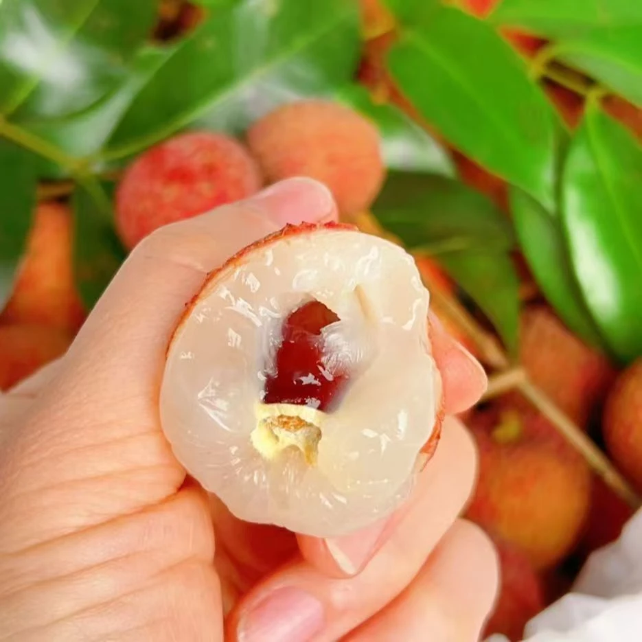 【顺丰京东冷链】广东高州荔枝白糖罂当季新鲜新鲜现摘甄选水果