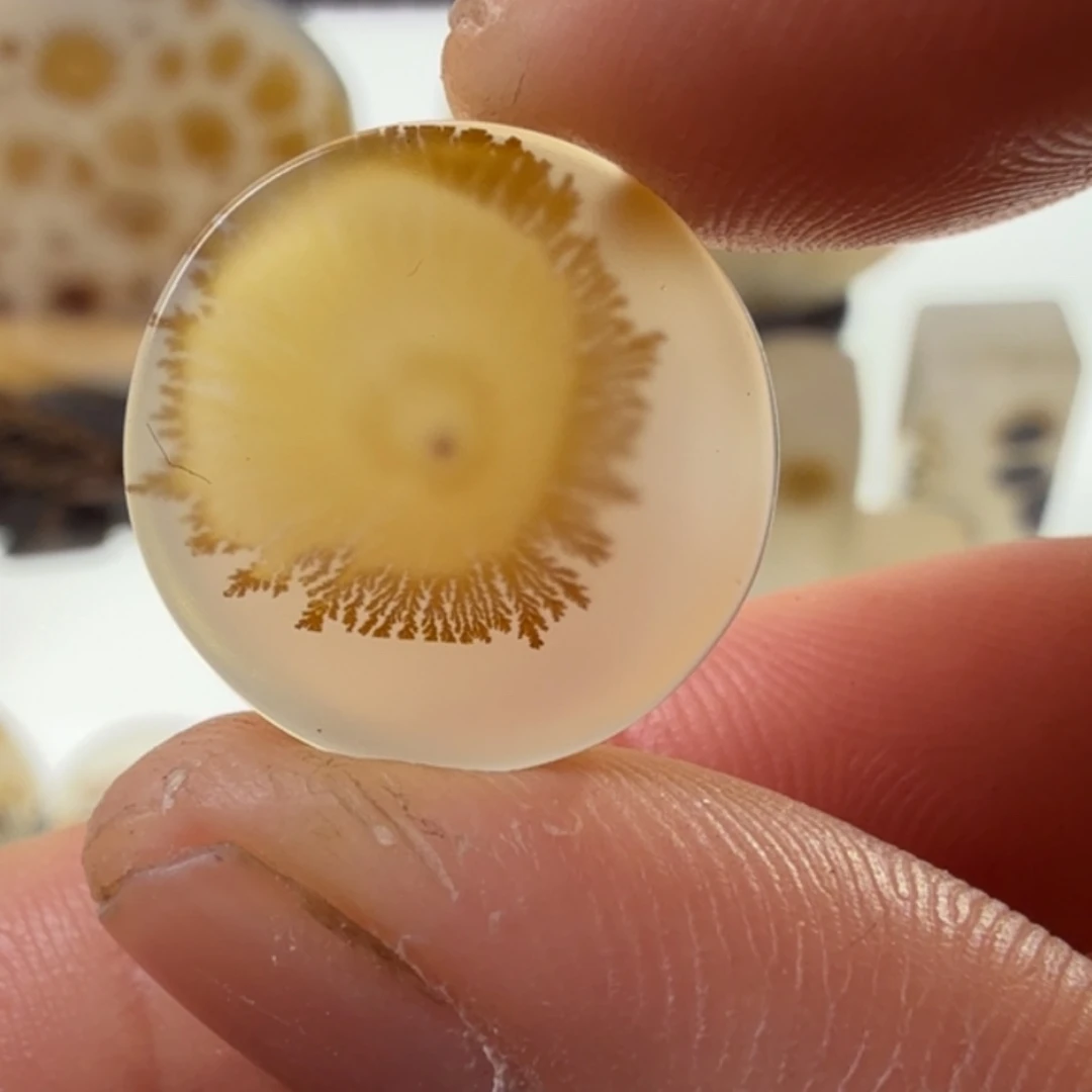 玛瑙/玉髓未镶嵌珠宝半成品