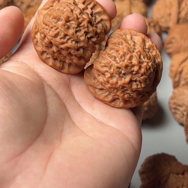 木质类41全品血麒麟