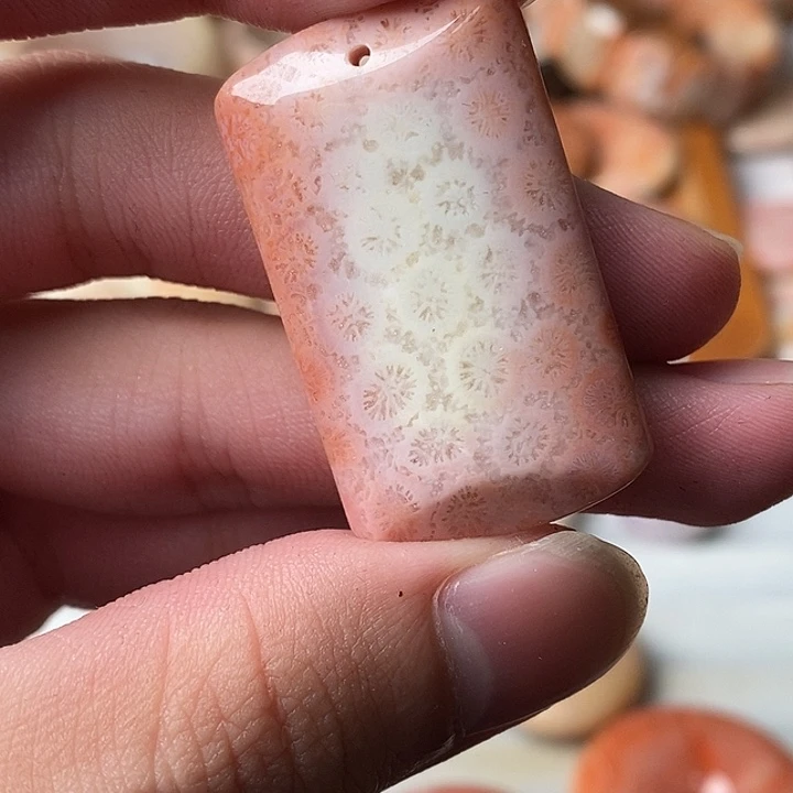 呖***呖硅化玉未镶嵌颈饰