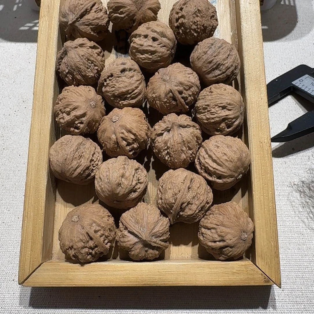 核桃手串/手链59号边25手持