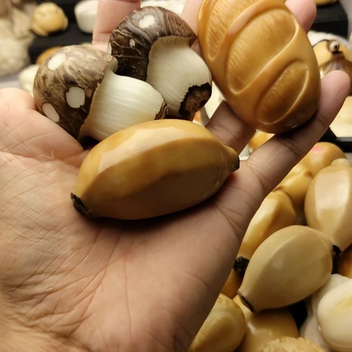吊坠菩提根/象牙果两蘑菇法棍香蕉