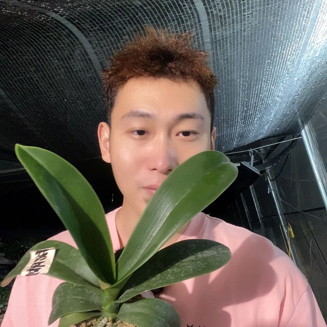 无花朵牛记小美女