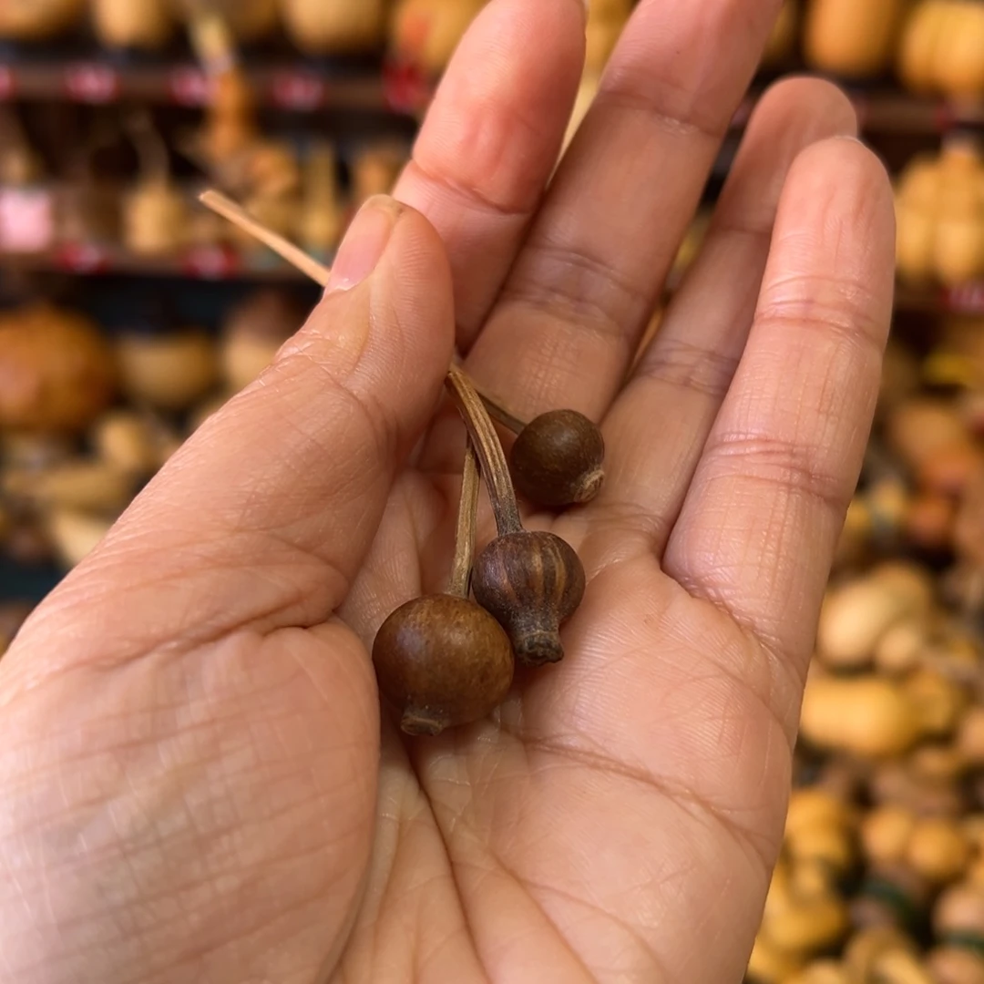 蔚***心葫芦娃兄弟车来看看