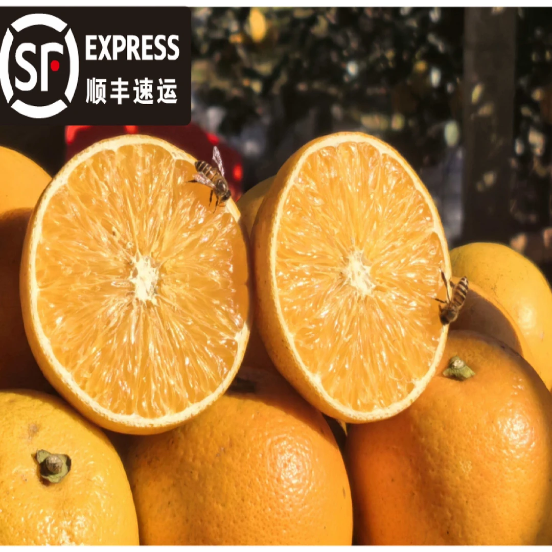 顺丰包邮正宗永兴冰糖橙涌水灌核心产区新鲜现摘现发