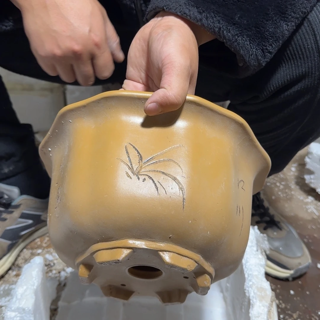 紫砂花盆口径25高度15