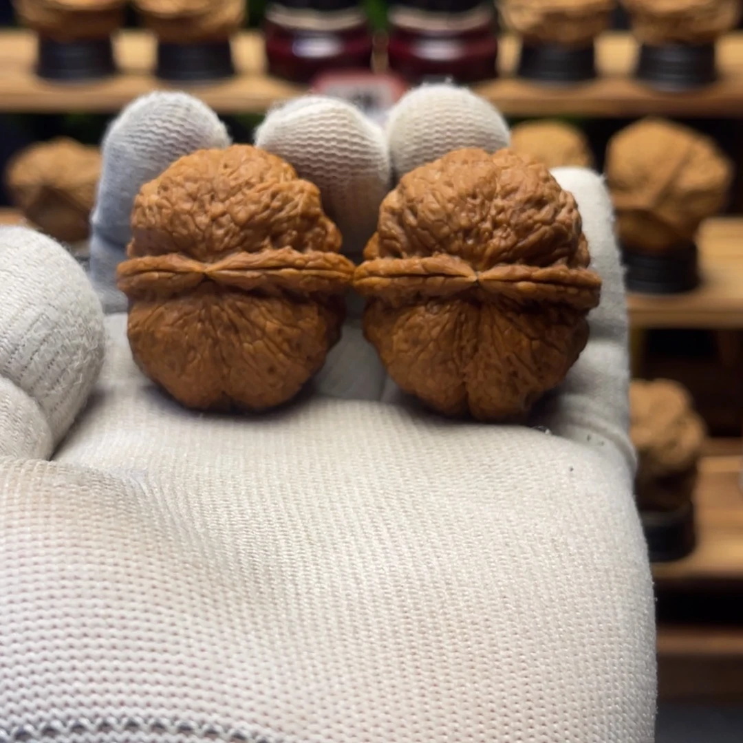 田***野核桃39mm龙门元宝 一物一图