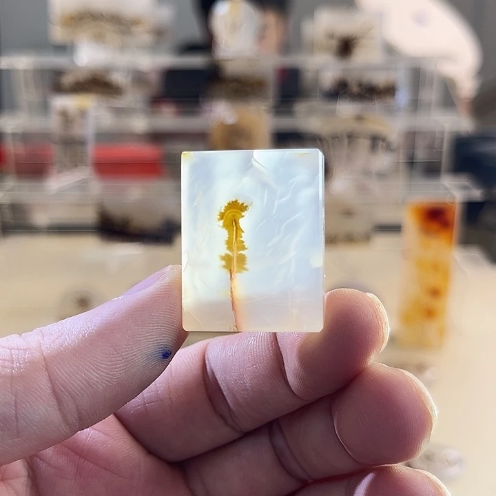 未镶嵌吊坠(不含链)玛瑙/玉髓