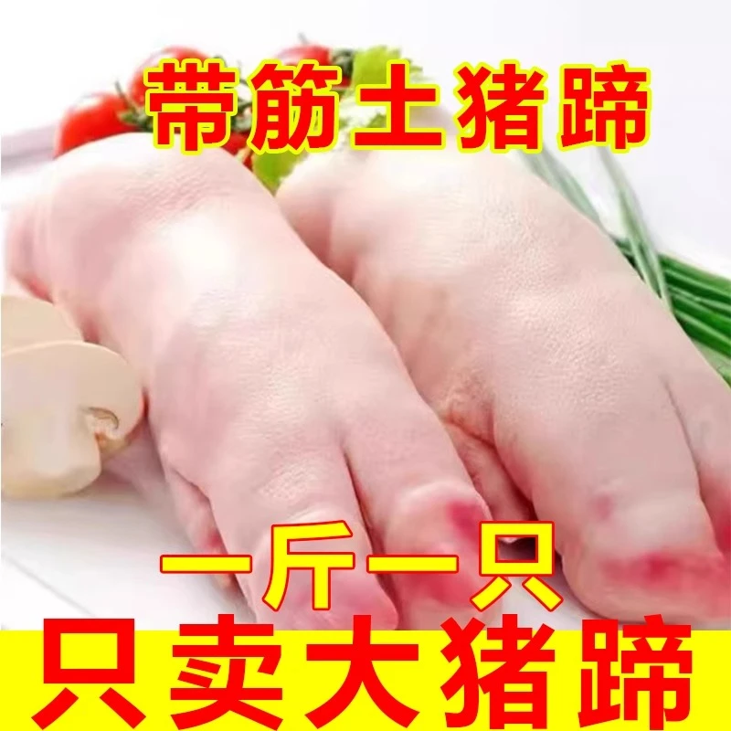 新鲜猪蹄冷冻猪脚猪前蹄香猪蹄猪爪子短猪蹄带筋猪蹄烧烤家用