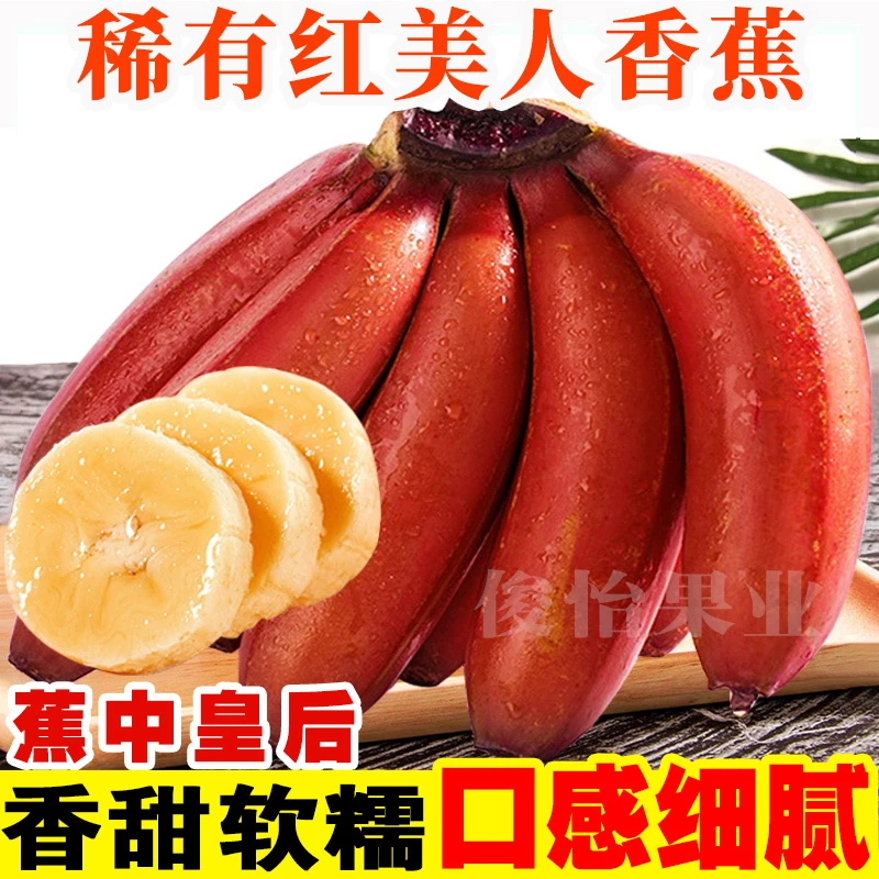 广西红美人香蕉稀有品种时令新鲜自然熟咖啡蕉甜芭蕉2/3/5斤俊怡
