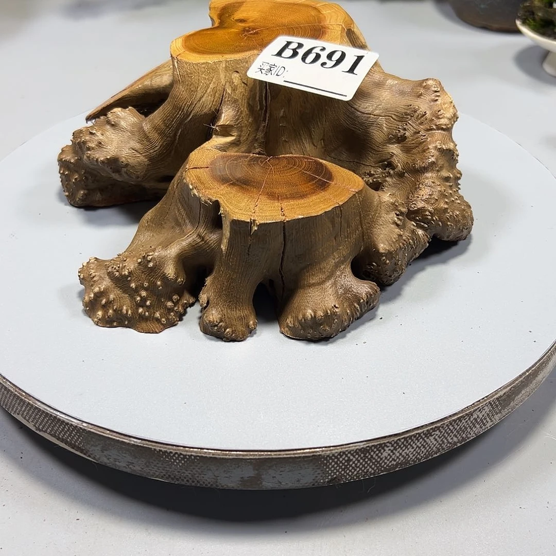 大果紫檀（缅甸花梨）寿