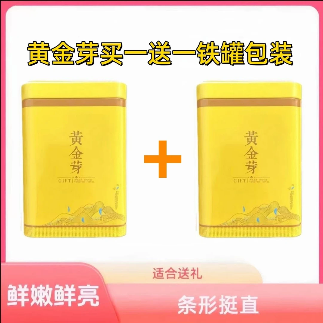 买一送一黄金芽茶叶明前早春茶叶高山绿茶白茶手工采摘精品罐子装