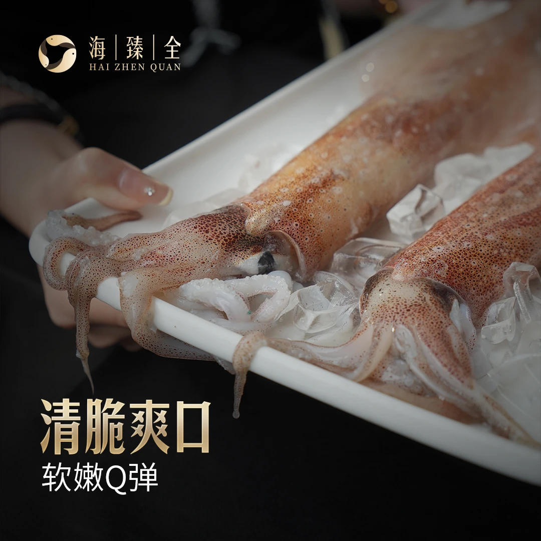 火箭大鱿鱼手钓太平洋深海鲜到弹牙