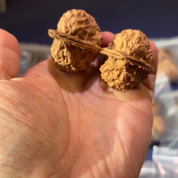 文玩核桃吊坠凤凰山鸡心