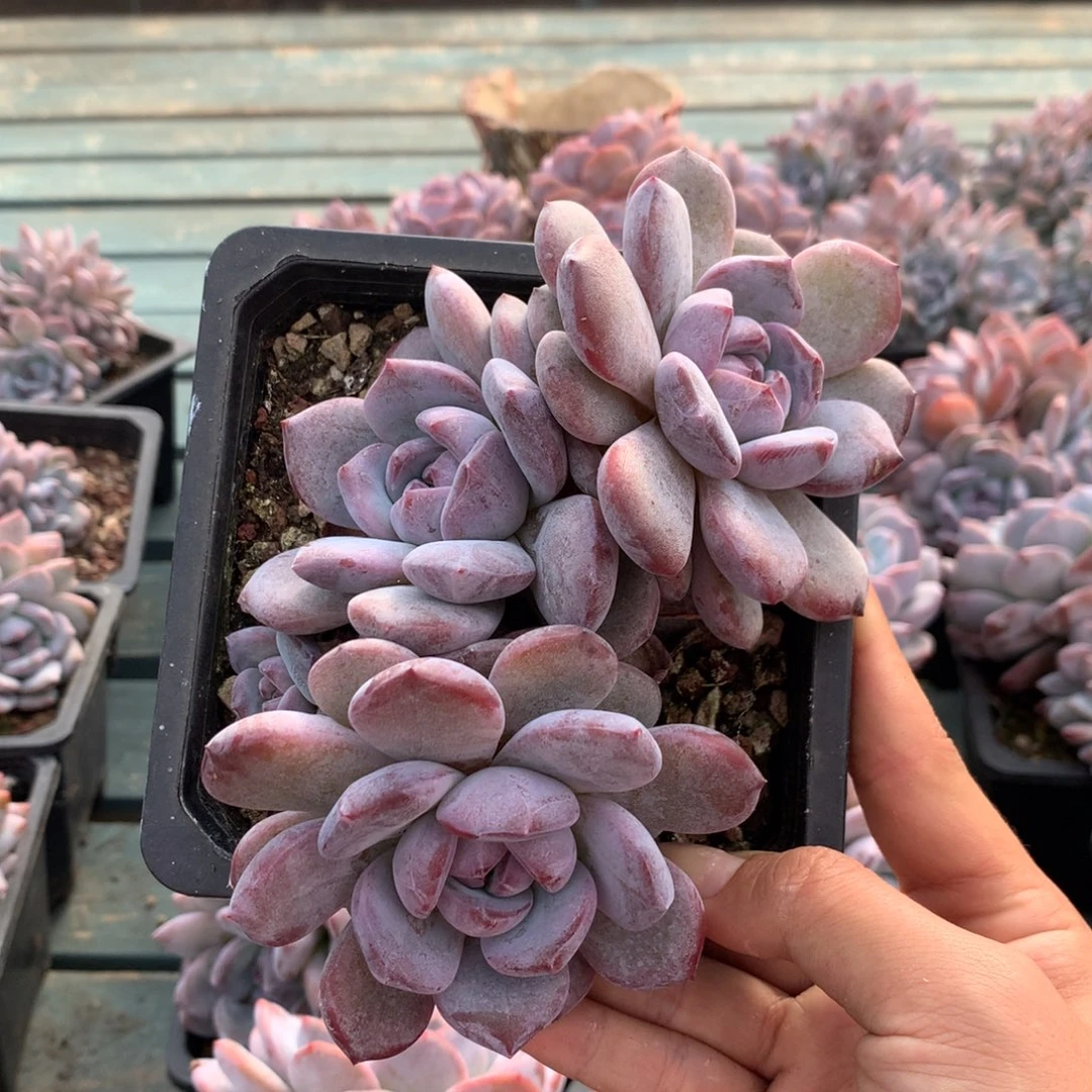 哈哈哈哈哈哈哈哈8