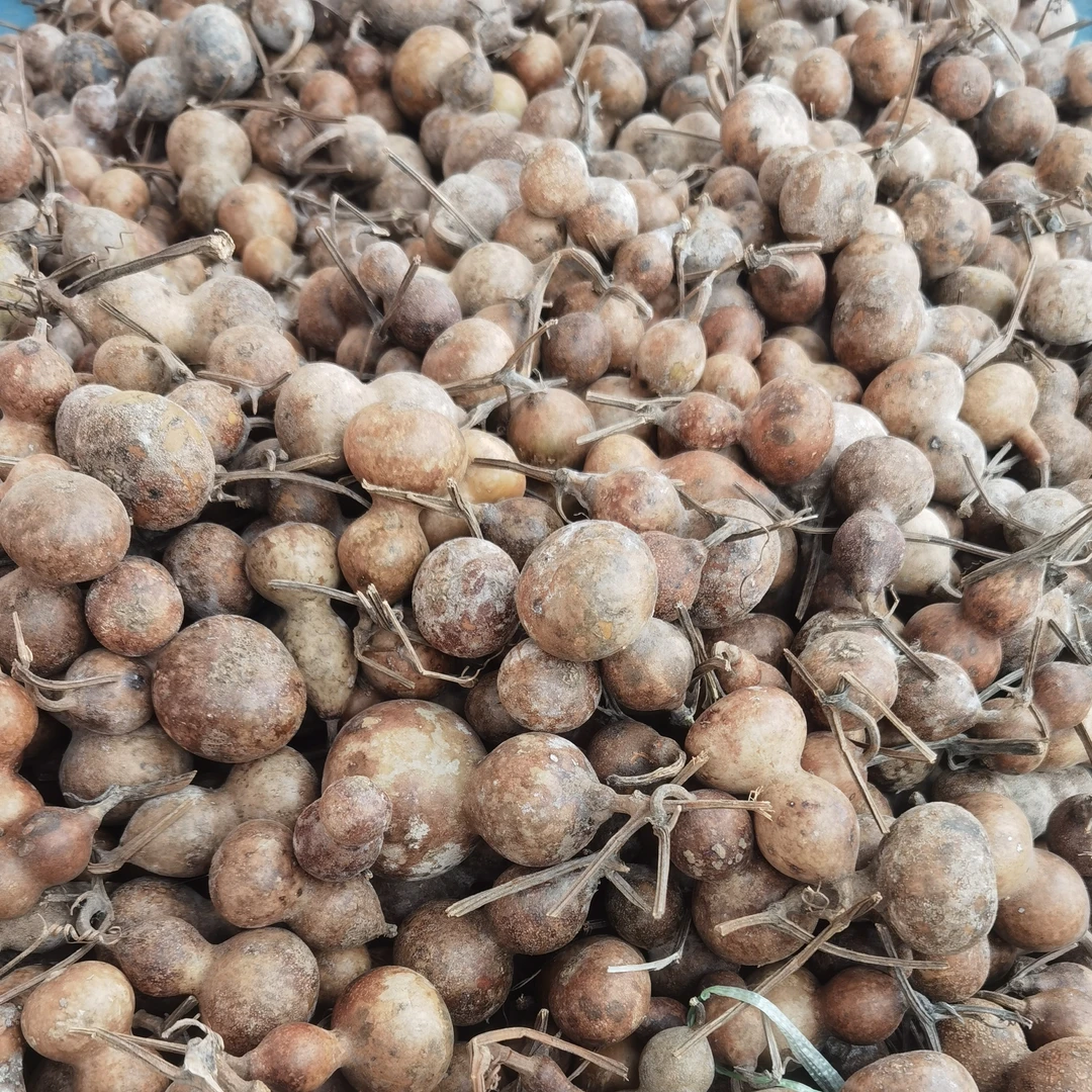 花皮葫芦46个 未打皮 （介意勿拍）