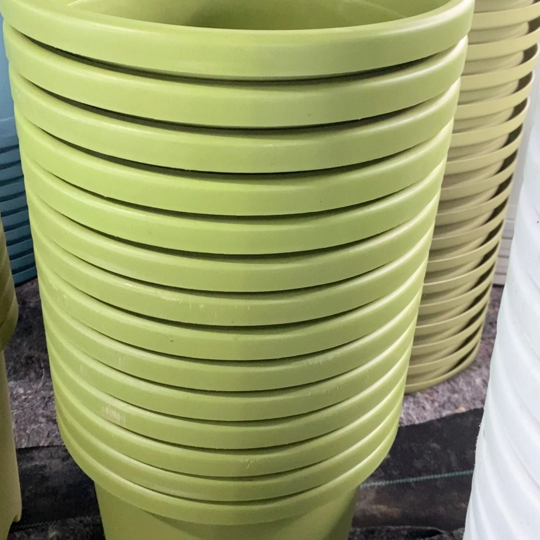 树脂3个33口果绿擦伤无托