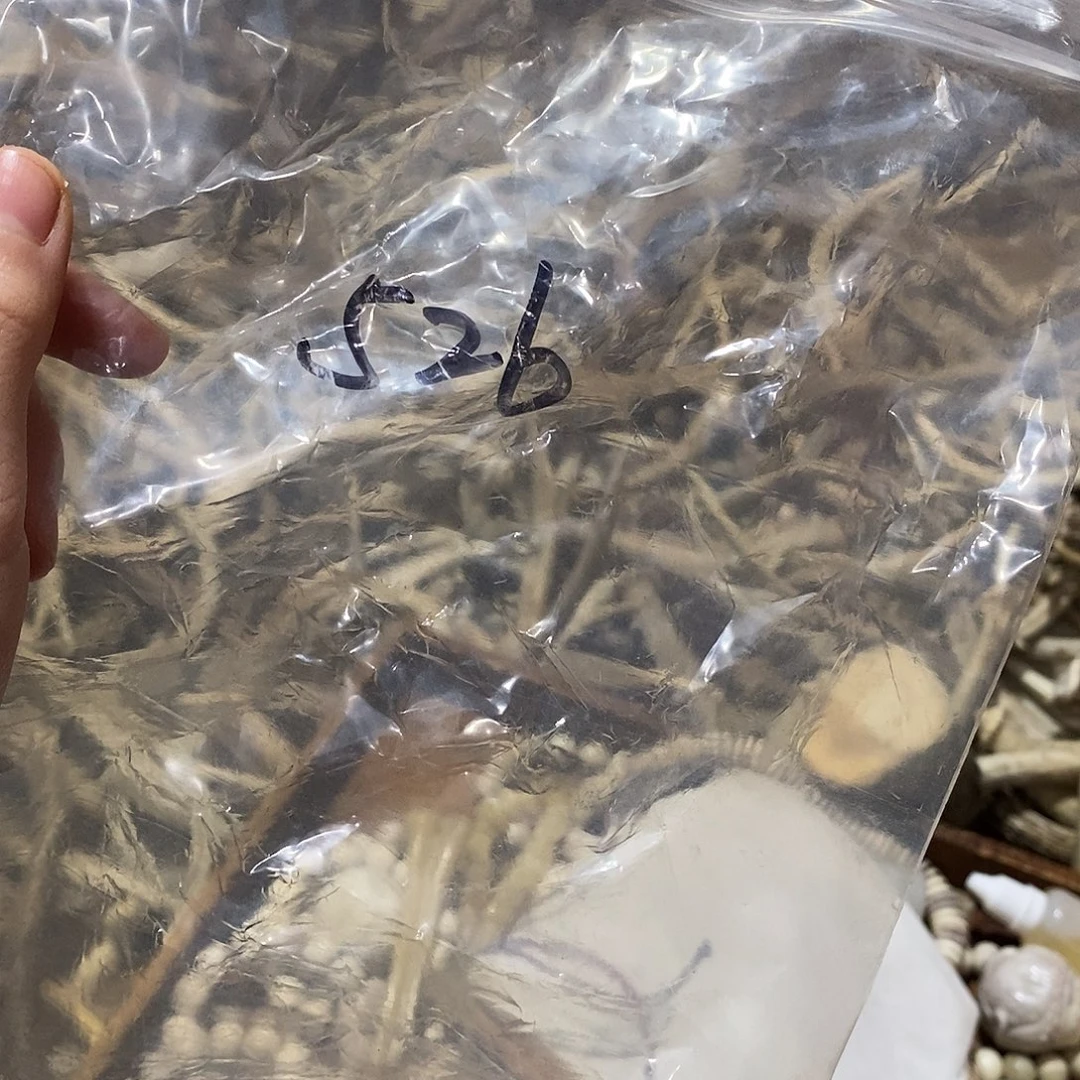 ****l非金属鹿角鹿角鹿角