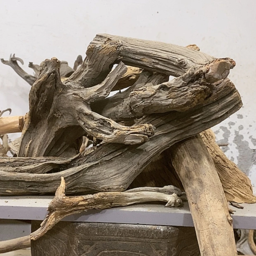 【闪购商品】柏木鱼**下我们都是好孩子