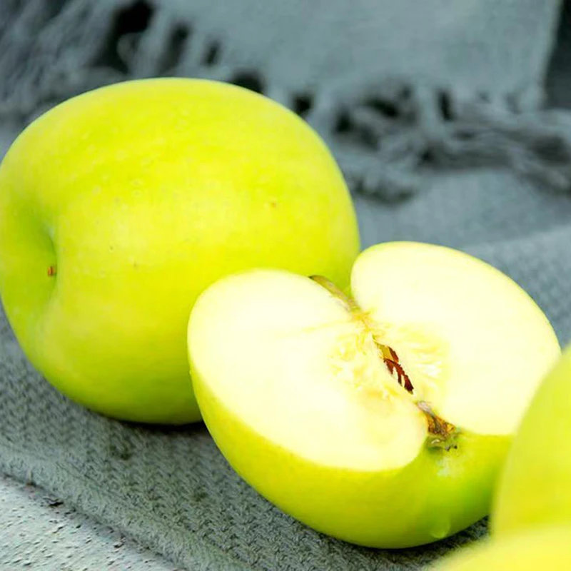 正宗瑞雪苹果 甘肃平凉瑞雪苹果应季现摘 果园直供